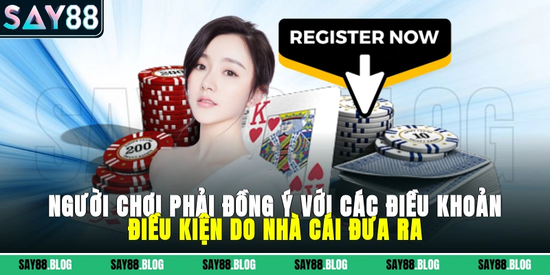 Người chơi phải đồng ý với các điều khoản và điều kiện do nhà cái đưa ra
