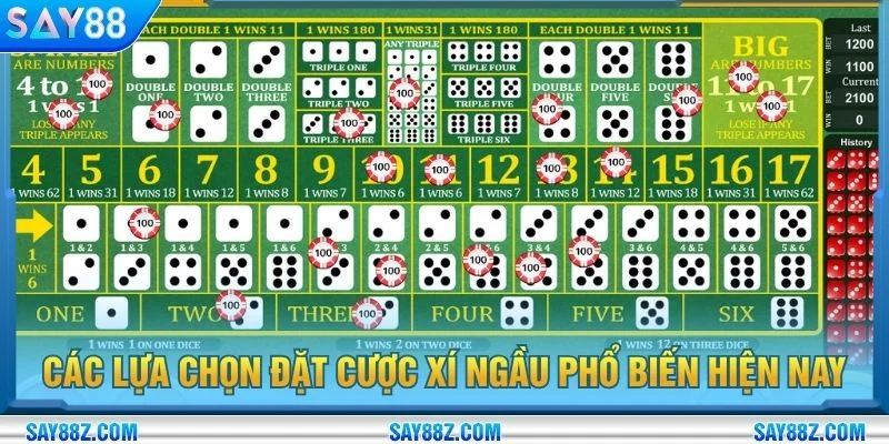 Các lựa chọn đặt cược xí ngầu phổ biến hiện nay