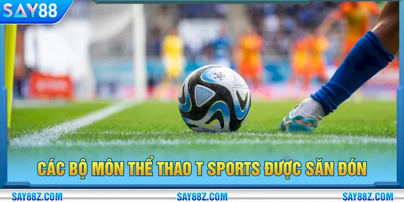 Cập nhật các giải đấu kèm theo tỷ lệ cược kịch tính