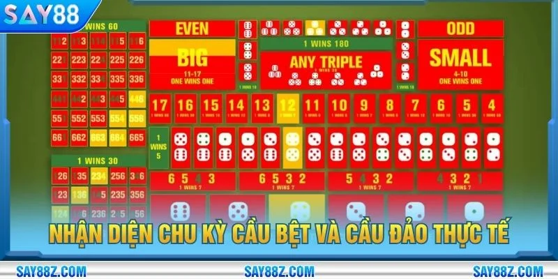 Nhận diện chu kỳ cầu bệt và cầu đảo thực tế